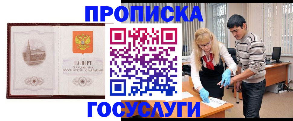 прописка 2025 в Петропавловске-Камчатском